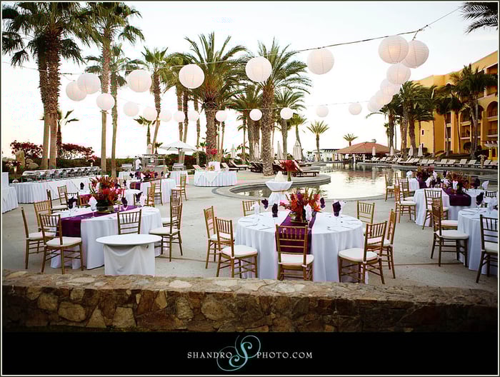 Wedding Reception