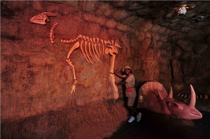 Dinosaur Fossil Cave